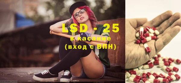 ПСИЛОЦИБИНОВЫЕ ГРИБЫ Вязьма
