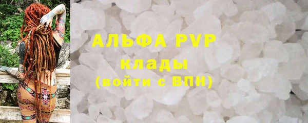 ПСИЛОЦИБИНОВЫЕ ГРИБЫ Вязьма