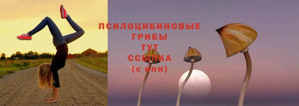 СК Вяземский