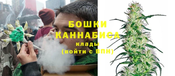 ПСИЛОЦИБИНОВЫЕ ГРИБЫ Вязьма