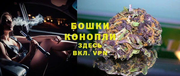 СК Вяземский