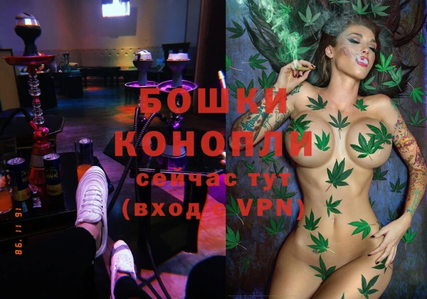 СК Вяземский
