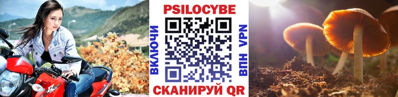 Псилоцибиновые грибы мухоморы  Купить закладки  Киренск 